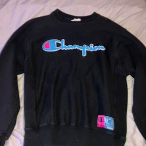 Champion Sweater